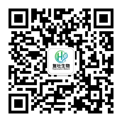 WeChat QR Code